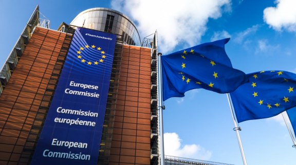 Nucléaire, immigration et marché unique : dernières nouvelles de Bruxelles image