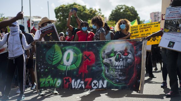 Scandale sanitaire du chlordécone : un non-lieu douloureux image