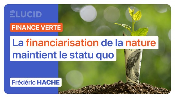 « La financiarisation de la nature vise à maintenir le statu quo » image