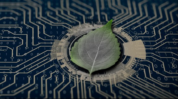 Extractivisme, surexploitation, pollution : le coût environnemental du numérique image