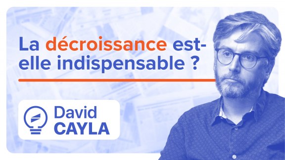 La décroissance est-elle indispensable ? - David Cayla image