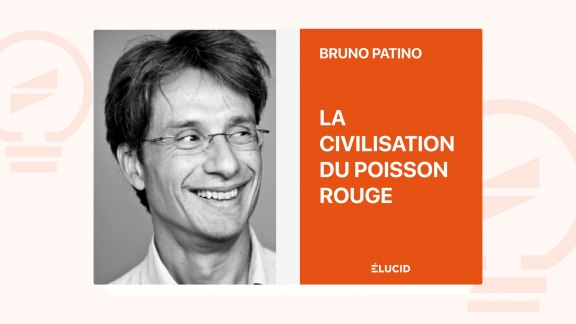 La Civilisation du poisson rouge - Bruno Patino image