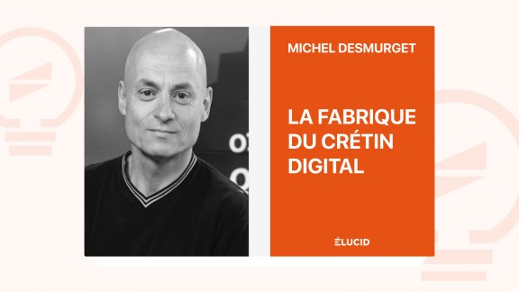 La Fabrique du Crétin digital - Michel Desmurget image