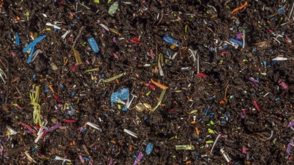 Contamination invisible et silencieuse : pollution aux microplastiques dans nos sols image