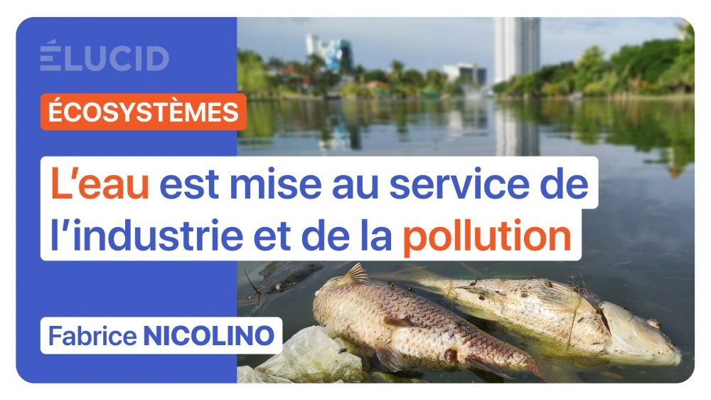 eau-assassine-fabrice-nicolino-service-industrie-pollution-ecosystemes