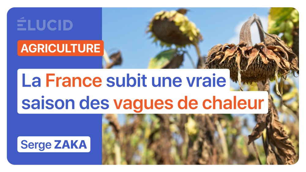agriculture-climat-france-subit-saison-vagues-chaleur-serge-zaka